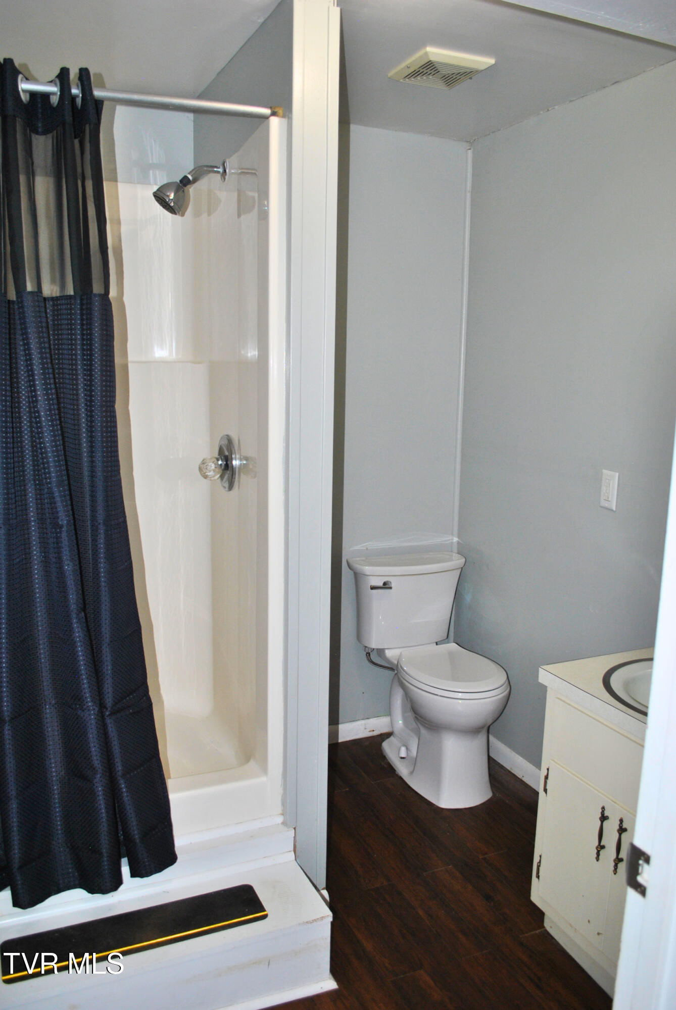 5919 Carters Valley Road Church Hill, TN 37642 - Photo 31 of 37 downstairs bathroom