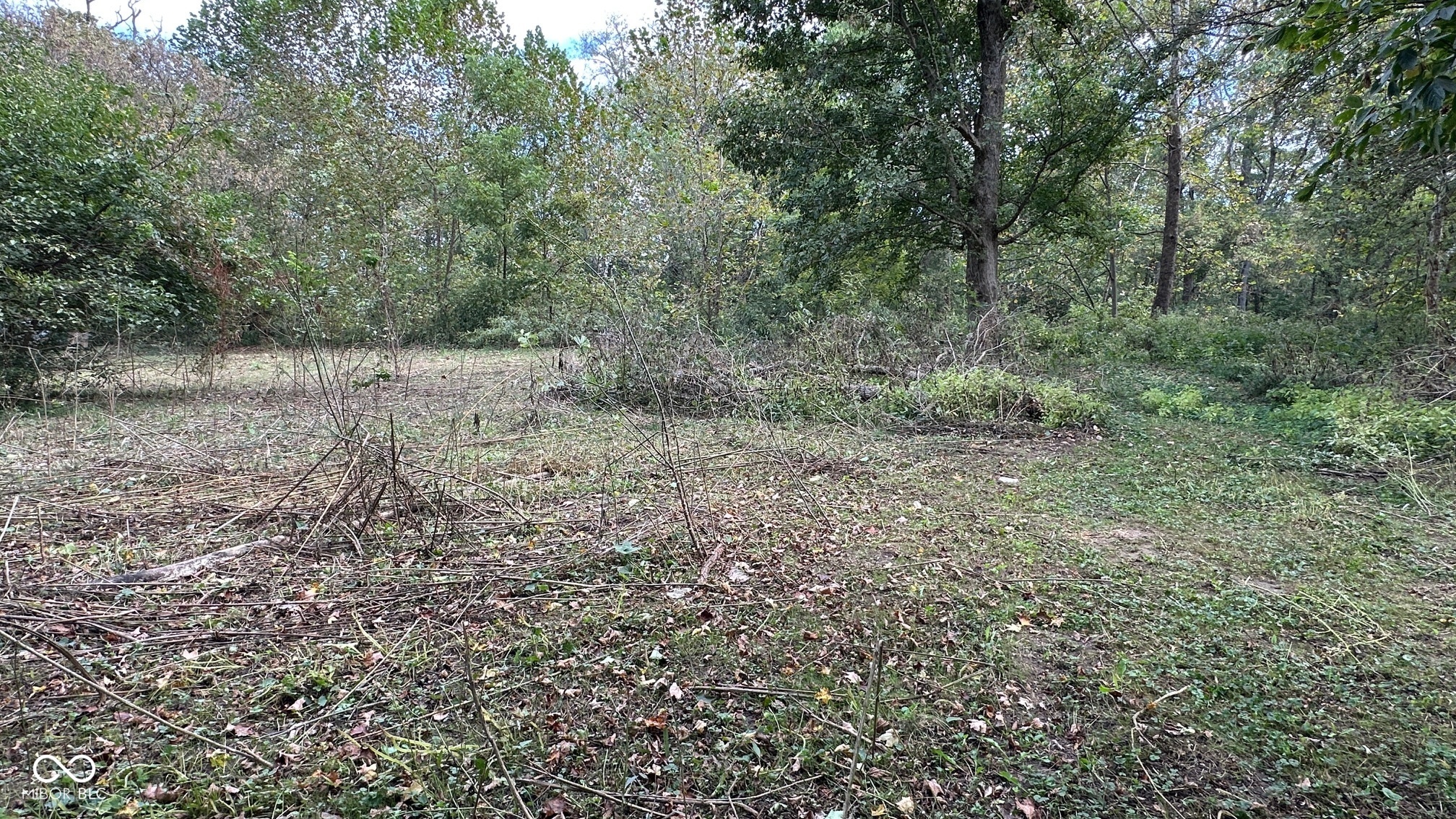 5405 Sycamore Street Rockville, IN 47872 - Photo 11 of 15