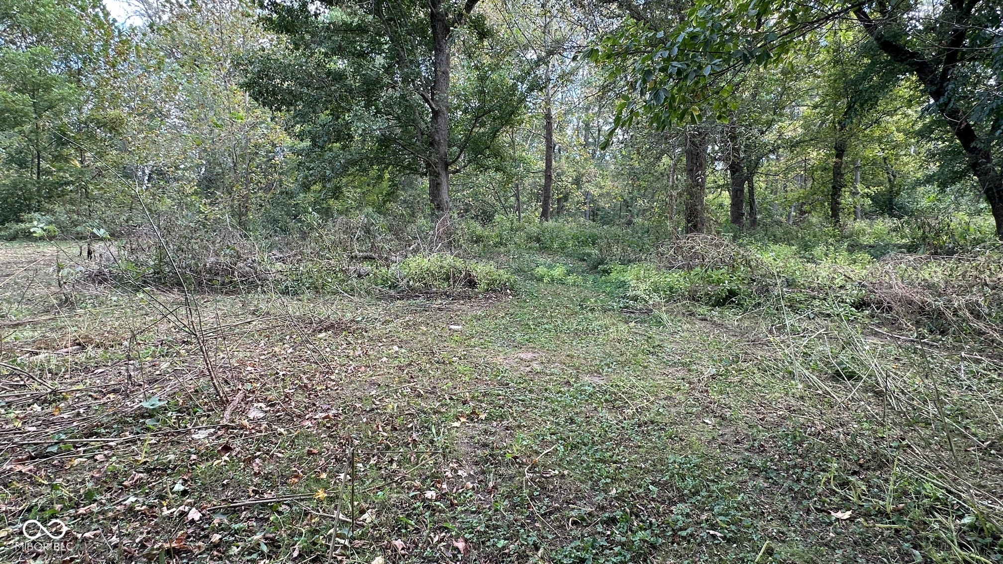 5405 Sycamore Street Rockville, IN 47872 - Photo 10 of 15