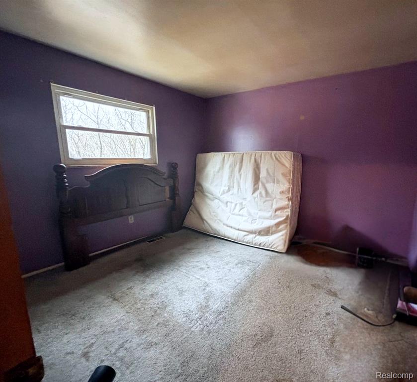 15927 Briggs Road Chesaning, MI 48616 - Photo 5 of 9 Gallery Image 5