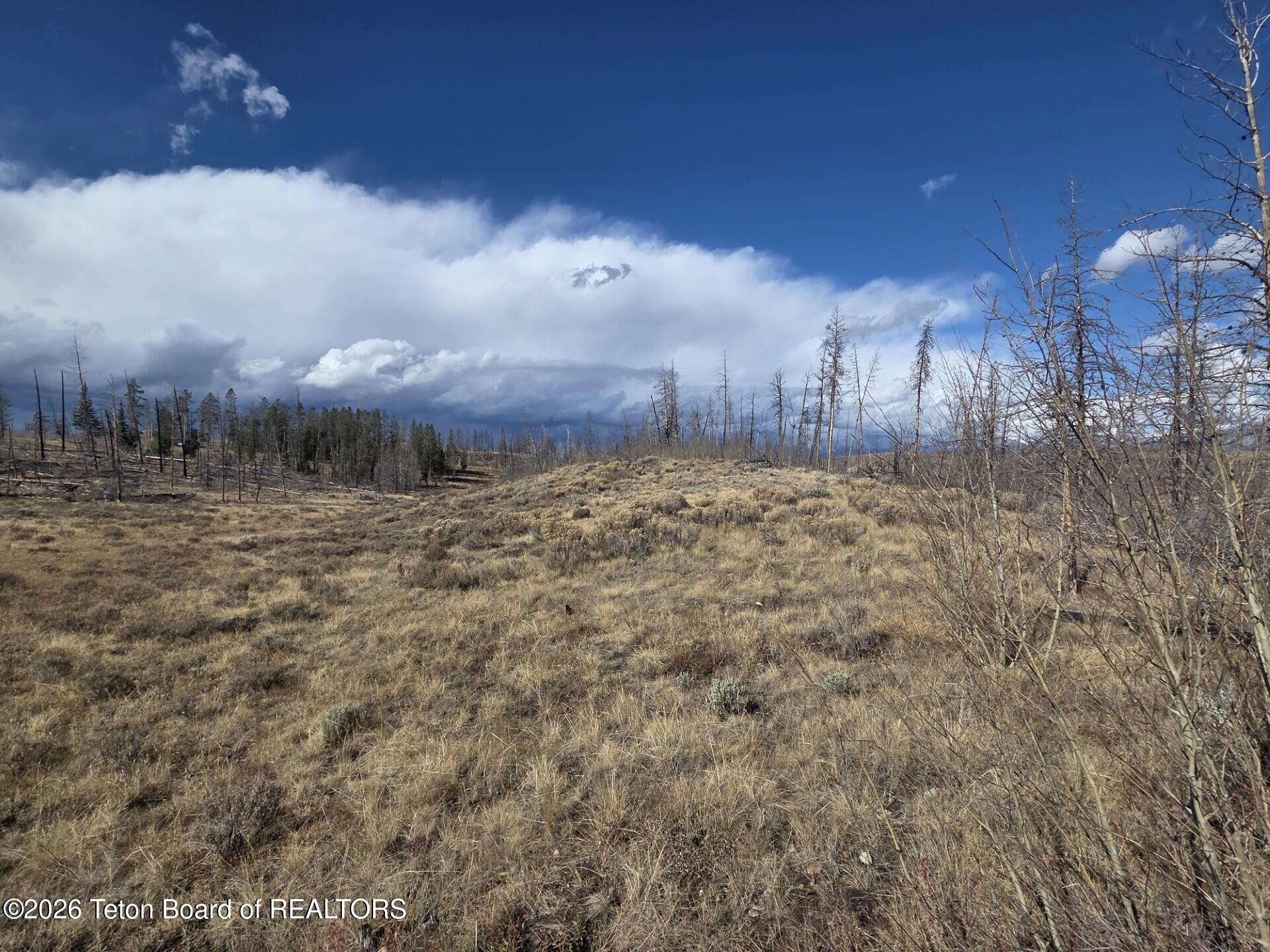 652 Rim Road Bondurant, WY 82922 - Photo 4 of 7 652 Rim Road