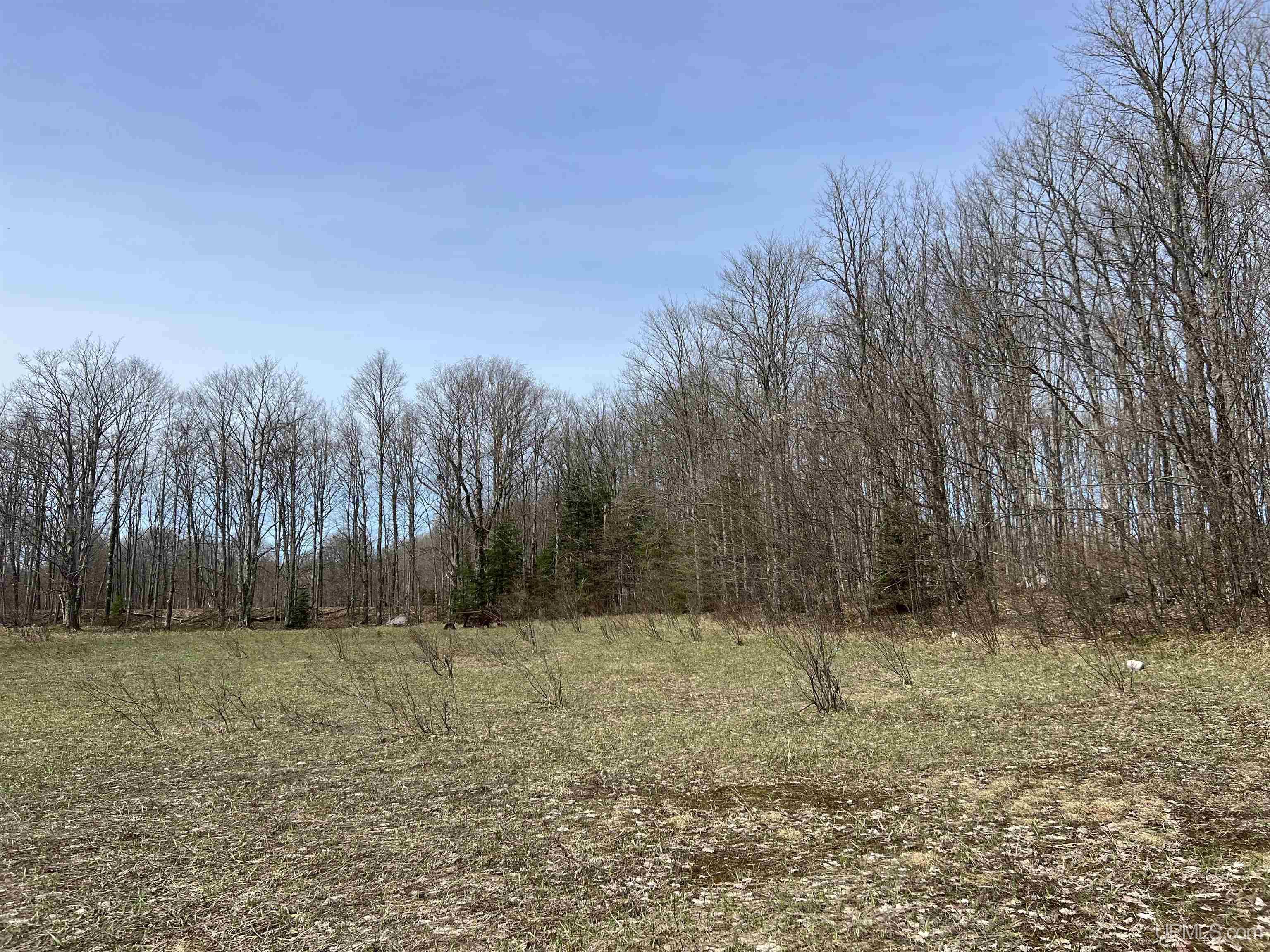 H58 St Shingleton Mi 49895 Shingleton, MI 49884 - Photo 9 of 21