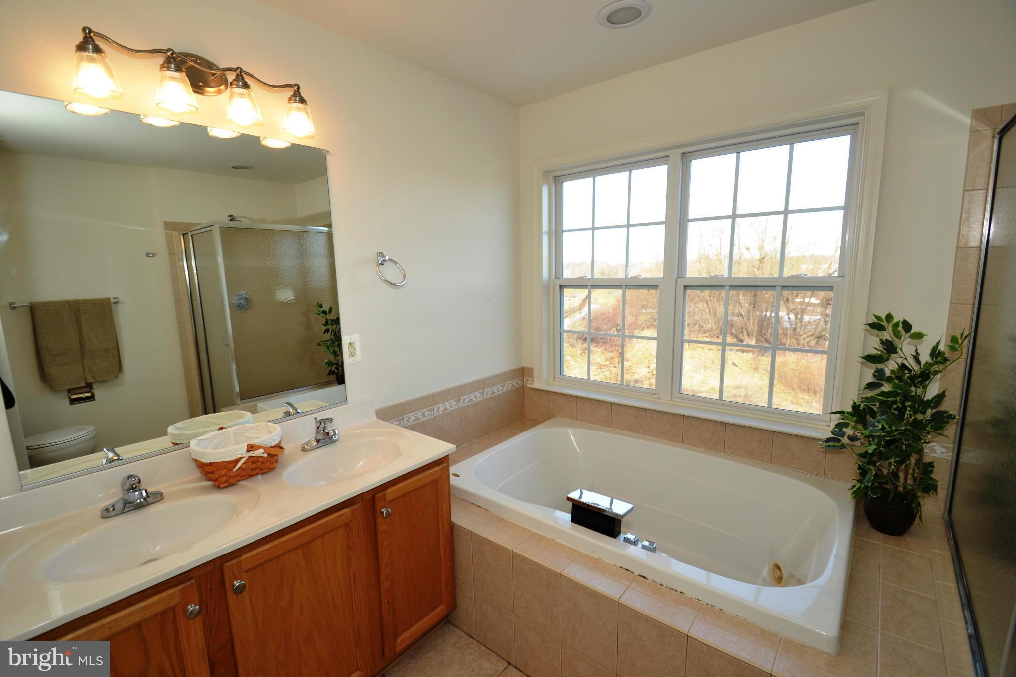 208 Timber View Court Frederick, MD 21702 - Photo 20 of 30 Bath (Master)