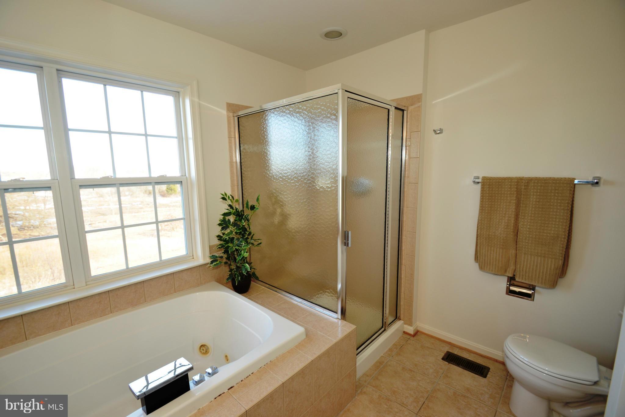208 Timber View Court Frederick, MD 21702 - Photo 21 of 30 Bath (Master)