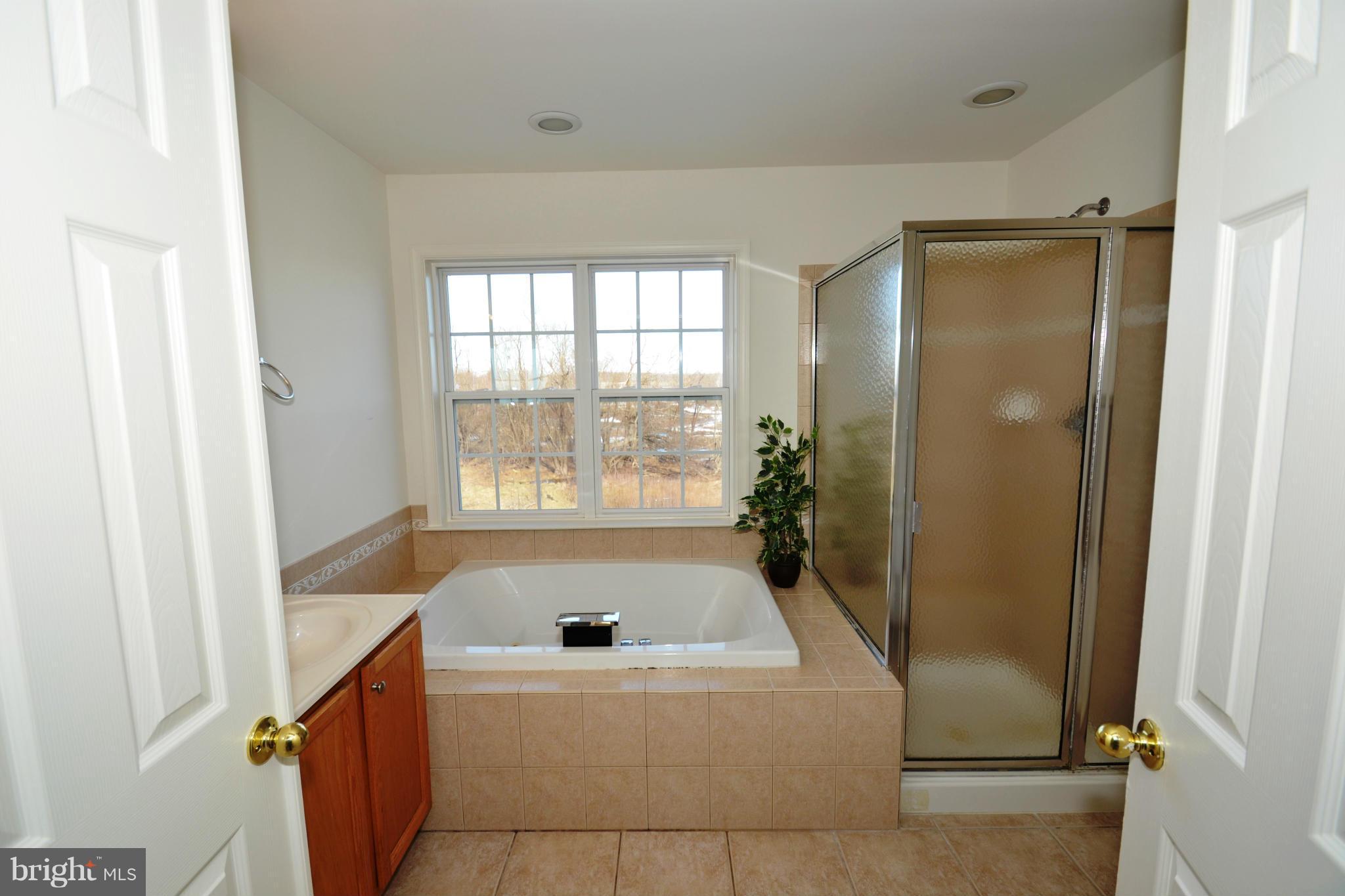 208 Timber View Court Frederick, MD 21702 - Photo 22 of 30 Bath (Master)