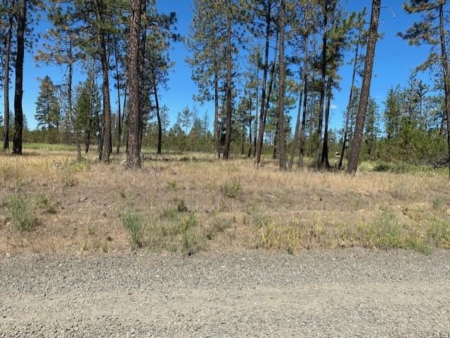 5742 J Corkscrew Canyon Road Tumtum, WA 99034 - Photo 9 of 11