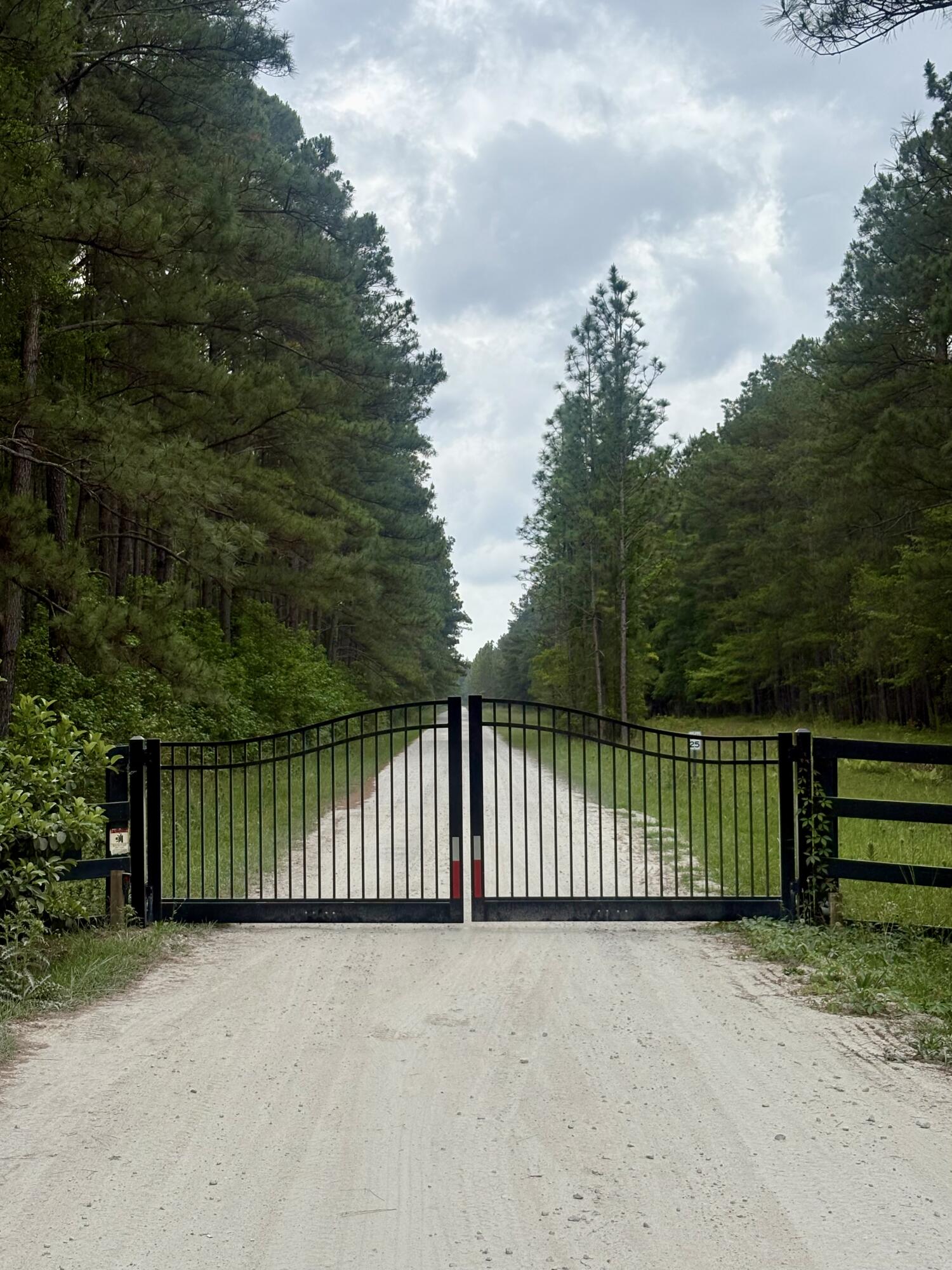 9760 2 Pines Road McClellanville, SC 29458 - Photo 3 of 7 Gated Community