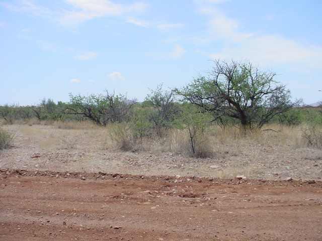 233 Via Ventosa Rio Rico, AZ 85648 - Photo 3 of 4