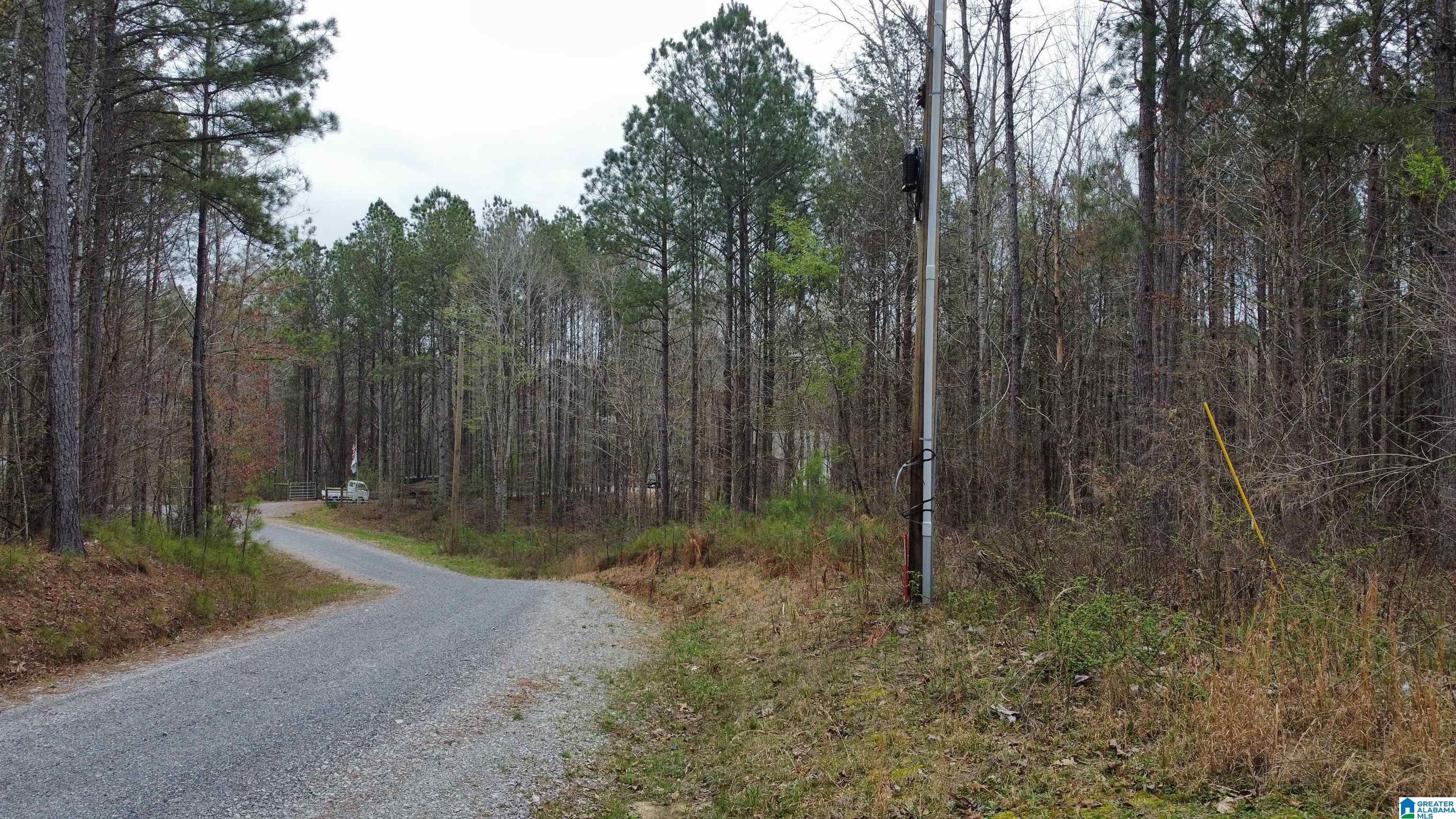 Lot 16 Turkey Bend Drive, Unit 16 Addison, AL 35540 - Photo 14 of 19