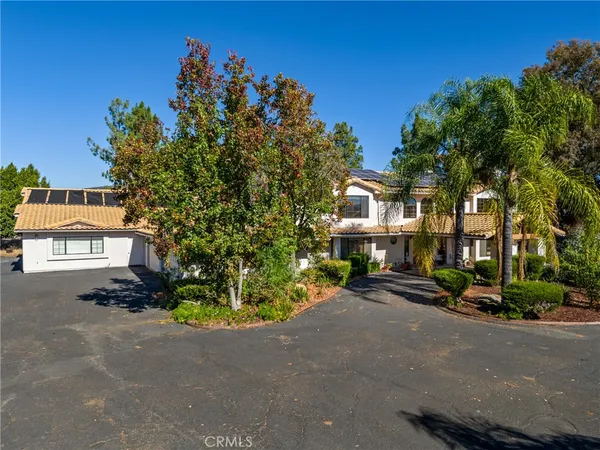 a row of palm trees in front of a house