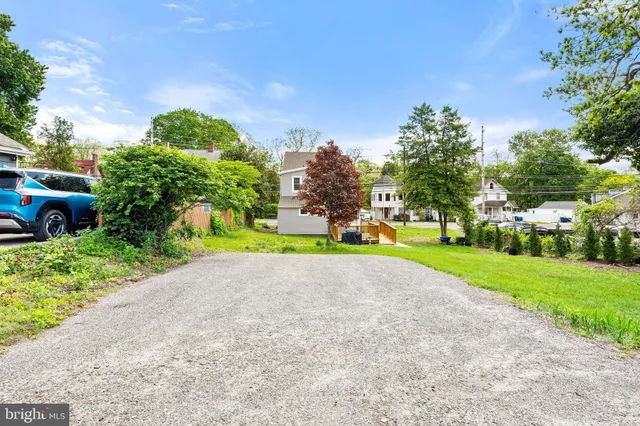 a view of a park with plants and trees