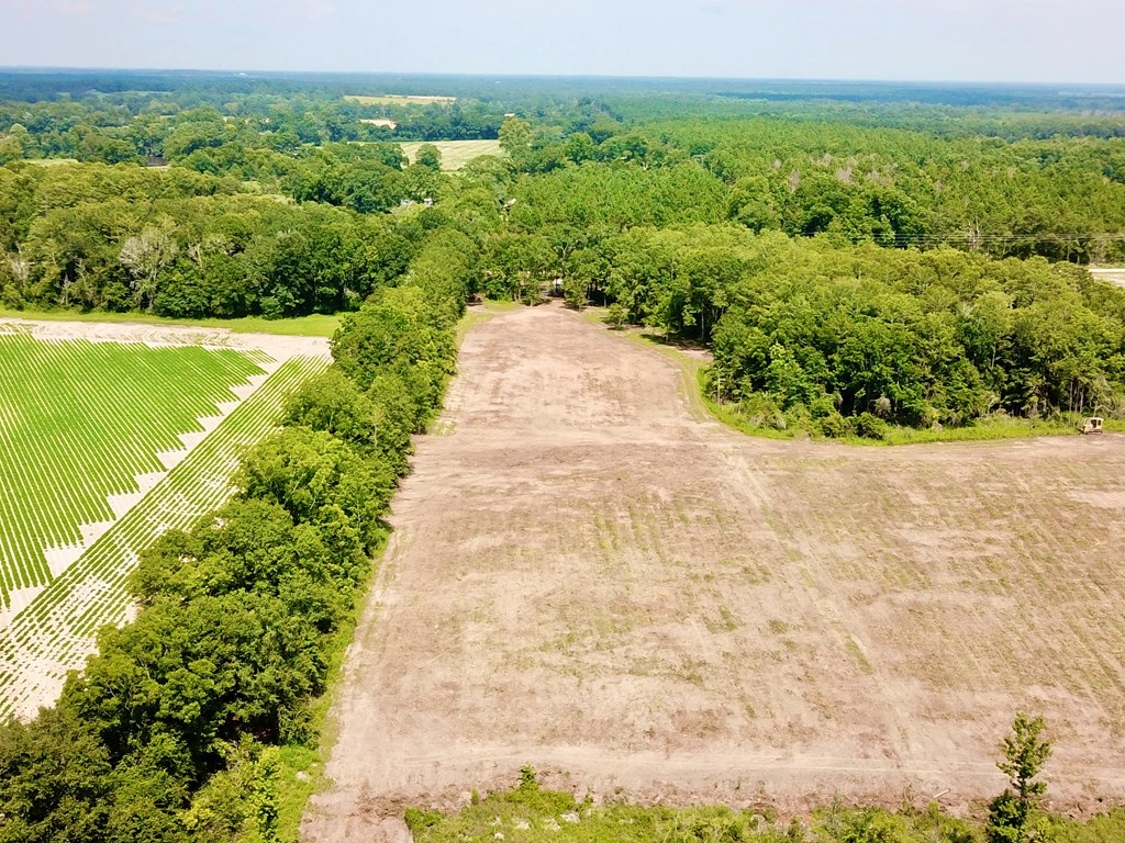 L1 New Hinson Road Slocomb, AL 36375 - Photo 7 of 30