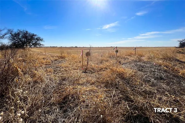 a view of back yard of the house