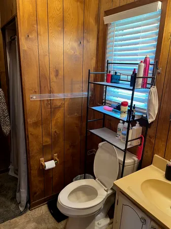 a bathroom with a sink mirror vanity and toilet