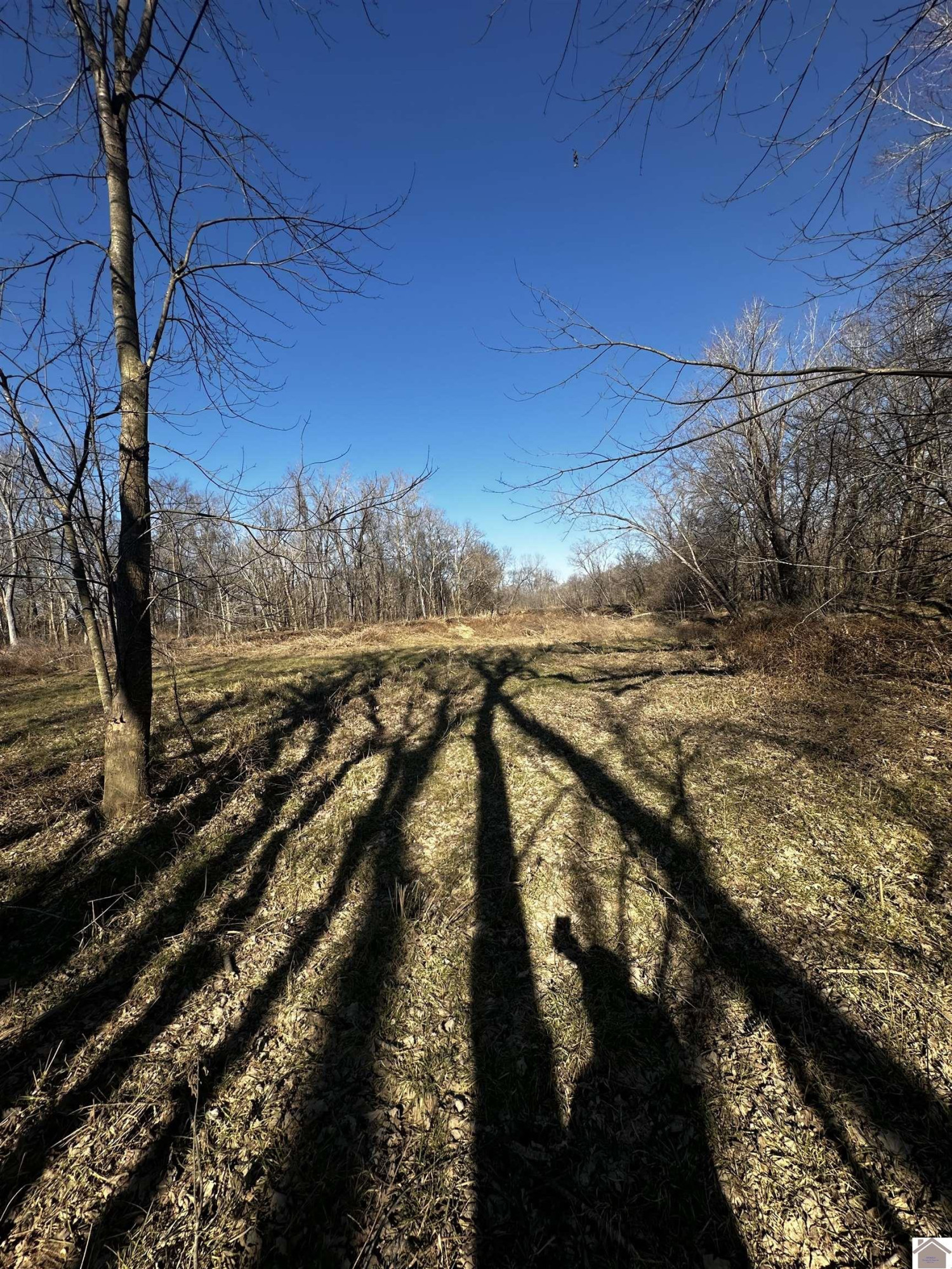 50.77 Old Olive Road Hardin, KY 42048 - Photo 23 of 26 Photo 23