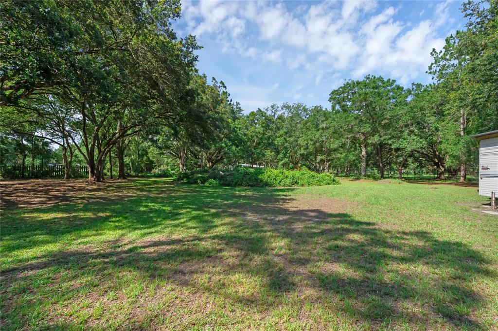 18166 Lynbrook Road Orlando, FL 32820 - Photo 43 of 56