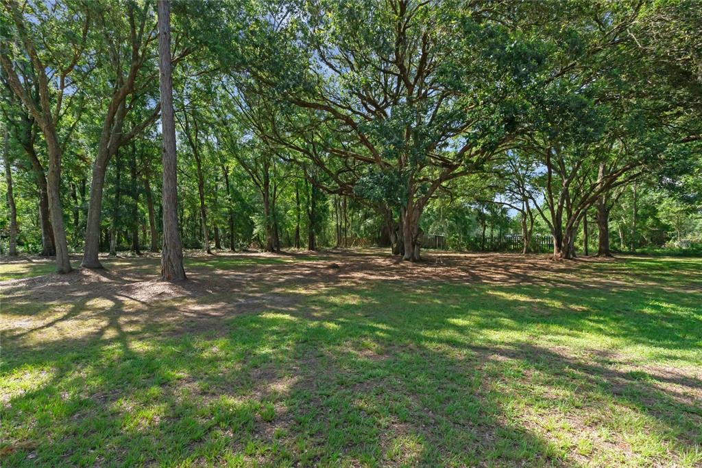 18166 Lynbrook Road Orlando, FL 32820 - Photo 44 of 56