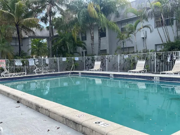 a backyard of a house with plants and large tree
