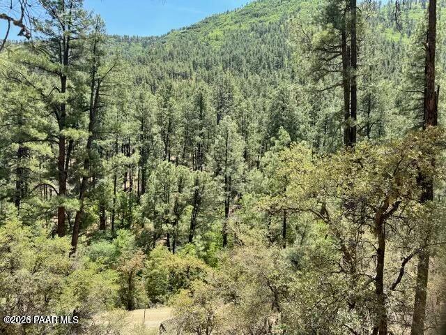 0 East Poland Road Mayer, AZ 86333 - Photo 3 of 4 a view of a forest with lush green forest