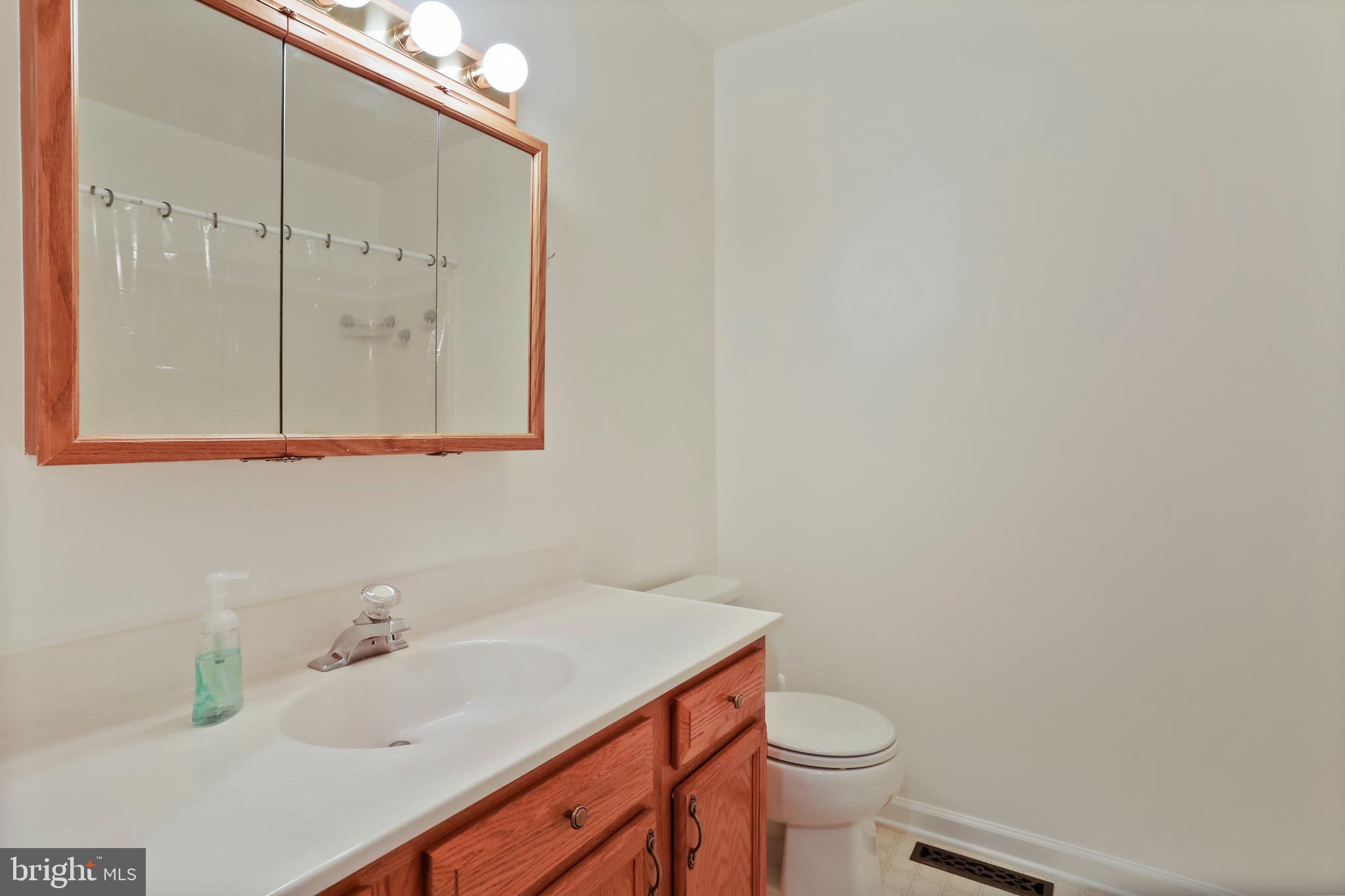 582 Ridgeview Road Gore, VA 22637 - Photo 20 of 47 Hall Bath