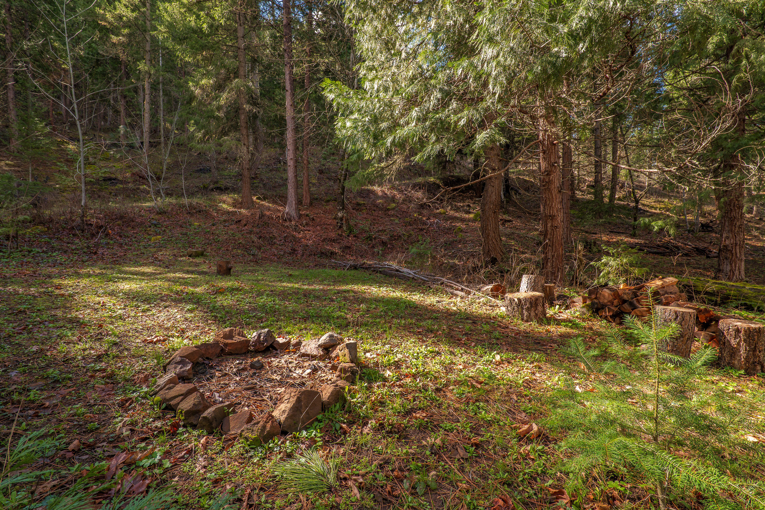 2829 Buckhorn Springs Road Ashland, OR 97520 - Photo 19 of 44 018
