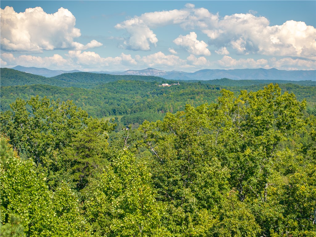 5 Hood Road Easley, SC 29640 - Photo 14 of 16