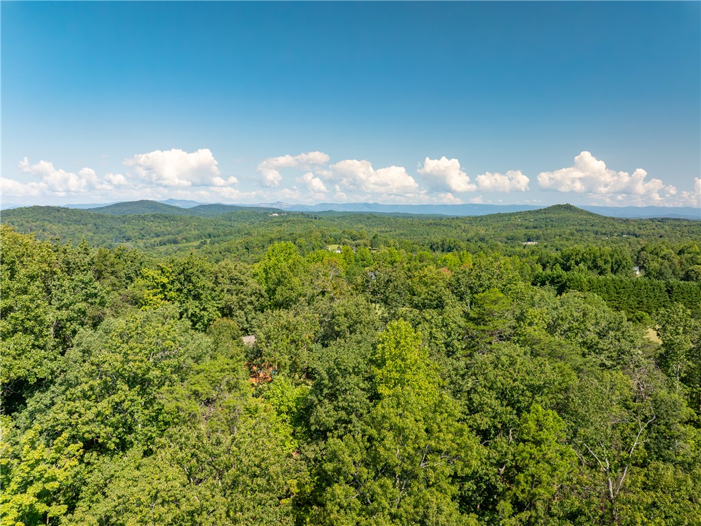 5 Hood Road Easley, SC 29640 - Photo 3 of 16