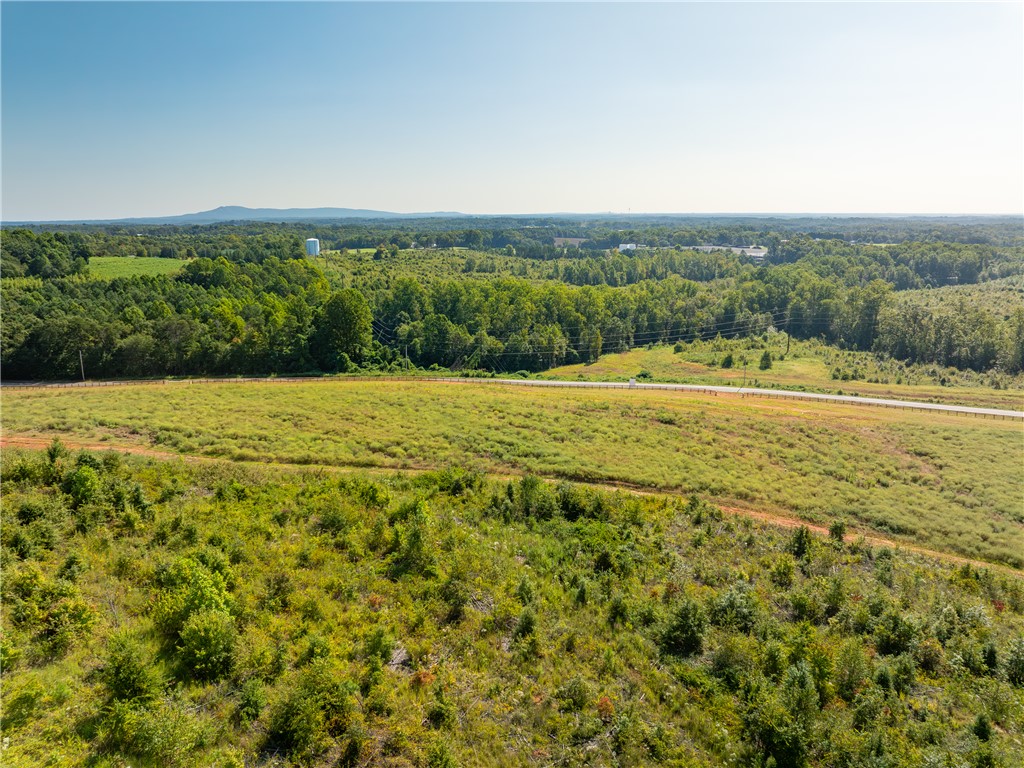 5 Hood Road Easley, SC 29640 - Photo 5 of 16