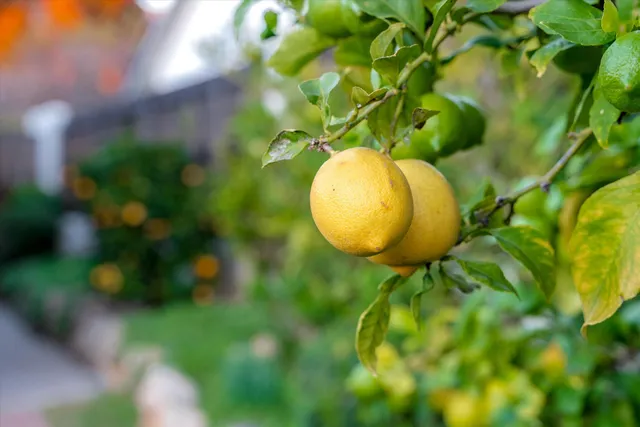 $1,795,000 | 3706 Lincolnwood Drive, Santa Barbara, CA 93110