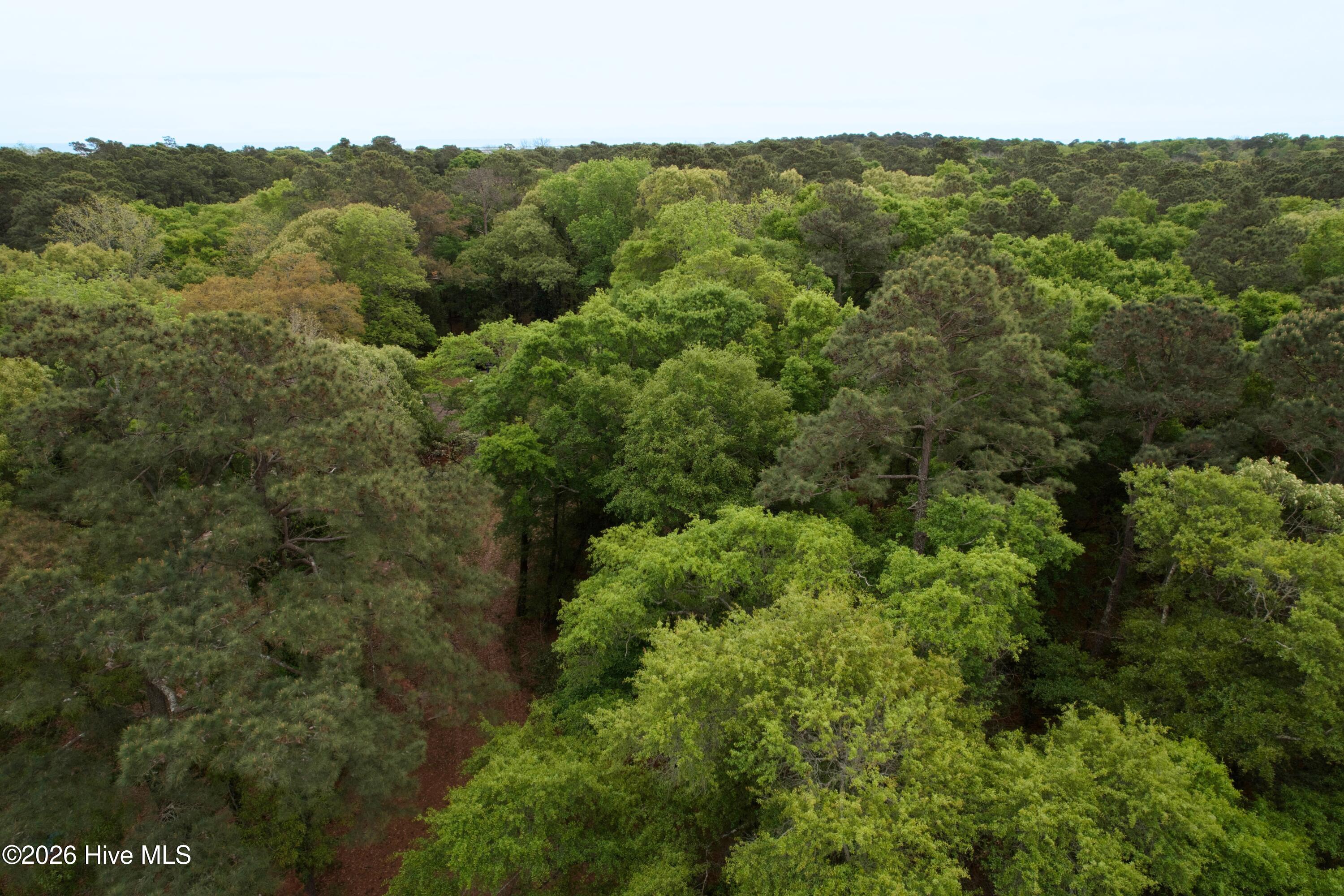 6358 Myrtle Grove Road Wilmington, NC 28409 - Photo 2 of 13 1