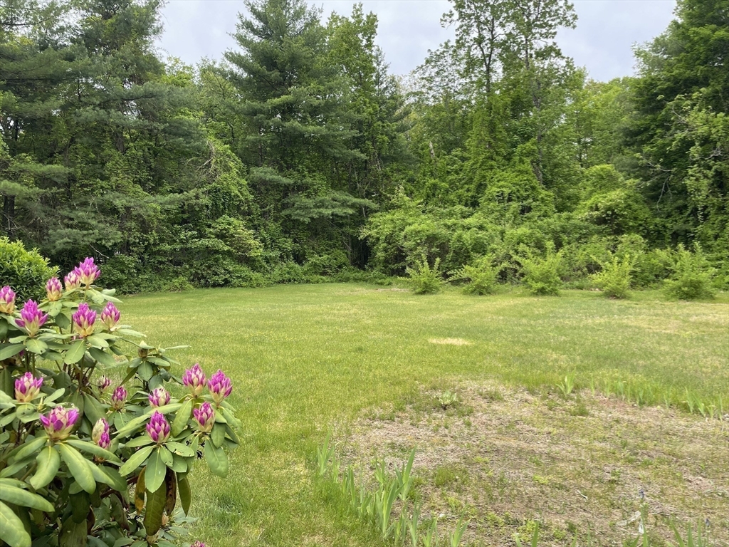 190 Turners Falls Road Montague, MA 01351 - Photo 29 of 35 a view of a garden with flowers