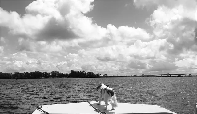 $50,000 | 601 Rotonda Circle, Rotonda West, FL 33947