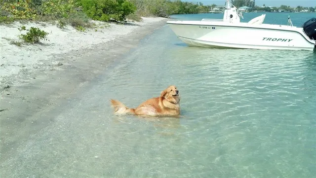 $50,000 | 601 Rotonda Circle, Rotonda West, FL 33947