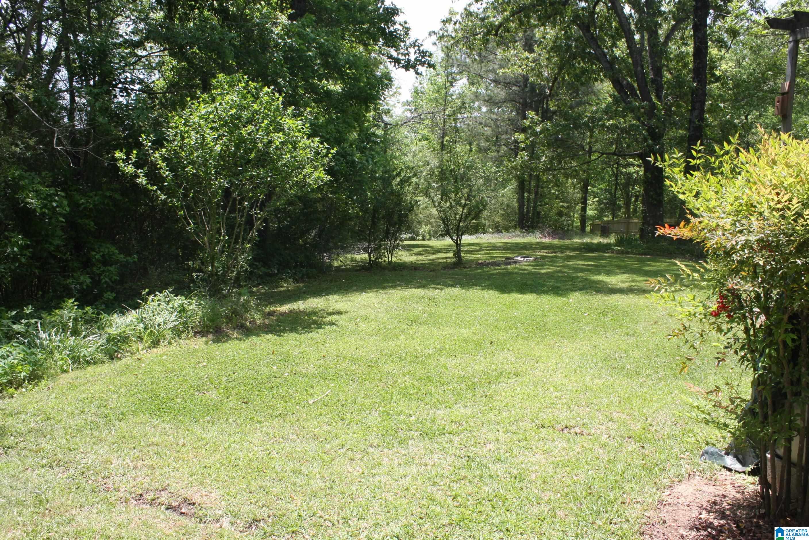 6083 Tommy Town Road Mount Olive, AL 35117 - Photo 5 of 45