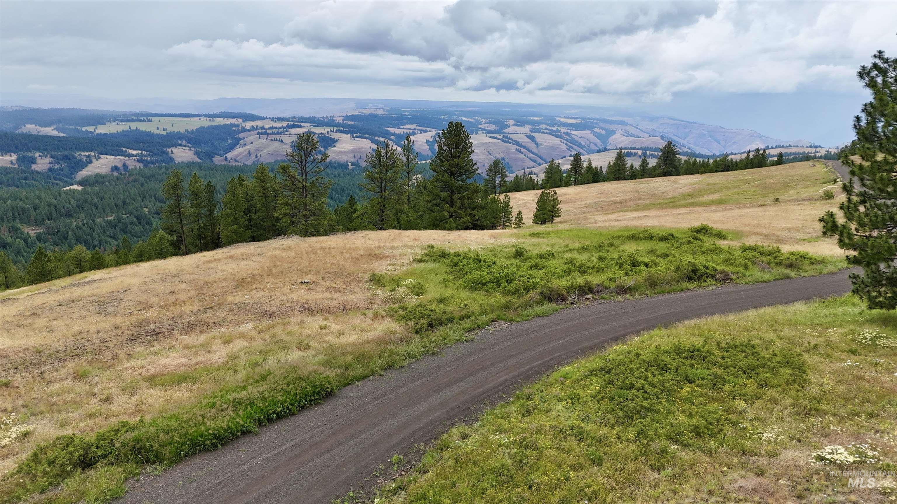 Lot 91 Pilgrim Ridge Road White Bird, ID 83554 - Photo 21 of 35