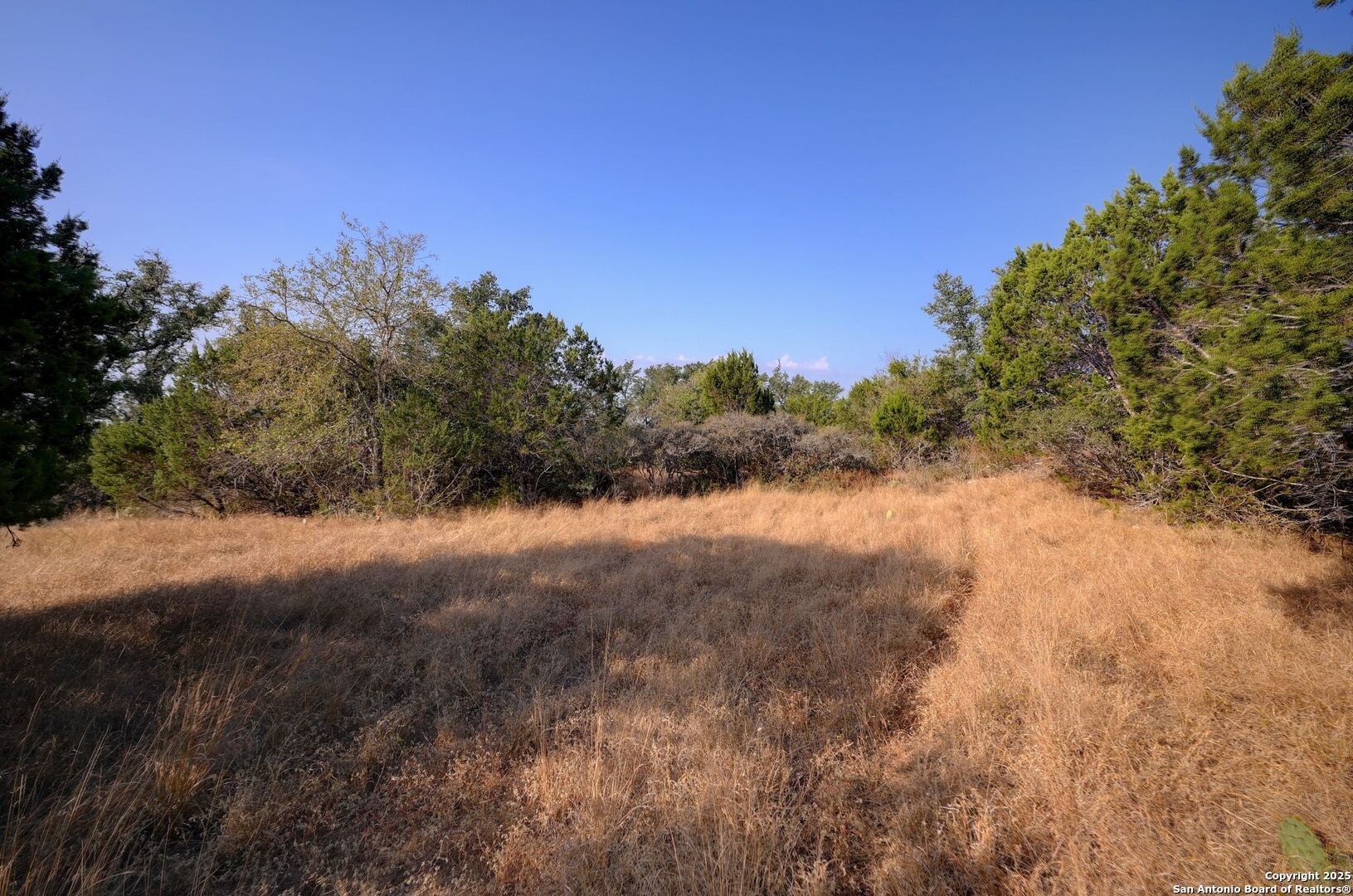 308 River Ridge Spring Branch, TX 78070 - Photo 12 of 39