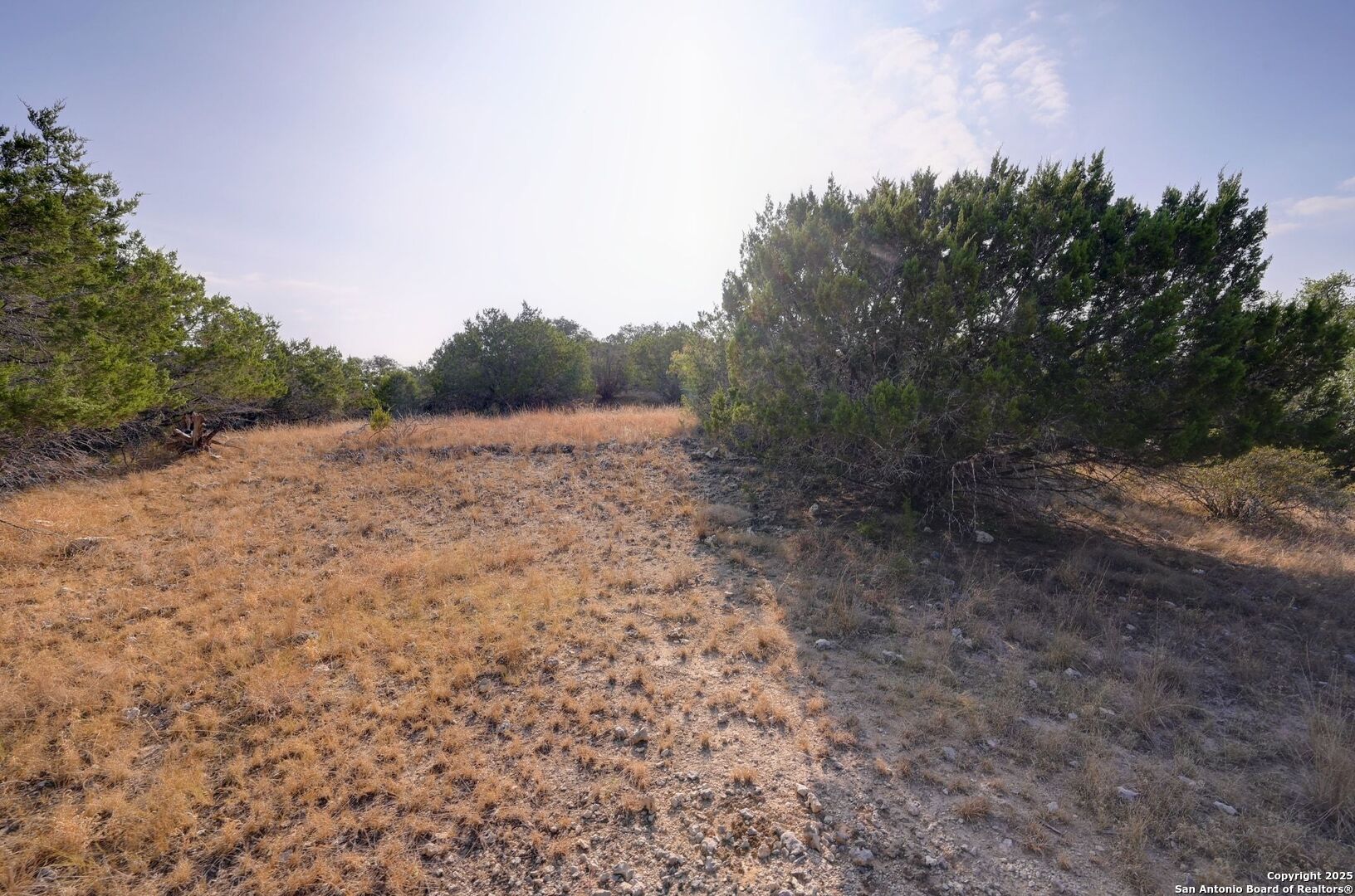 308 River Ridge Spring Branch, TX 78070 - Photo 14 of 39