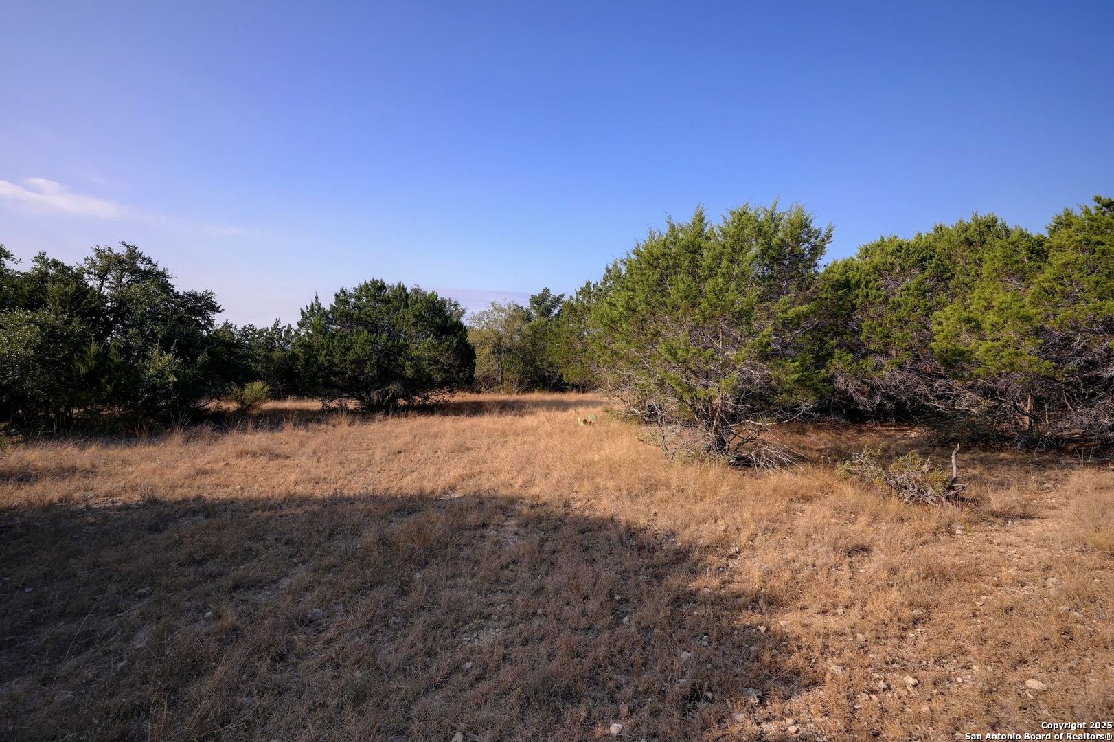 308 River Ridge Spring Branch, TX 78070 - Photo 16 of 39