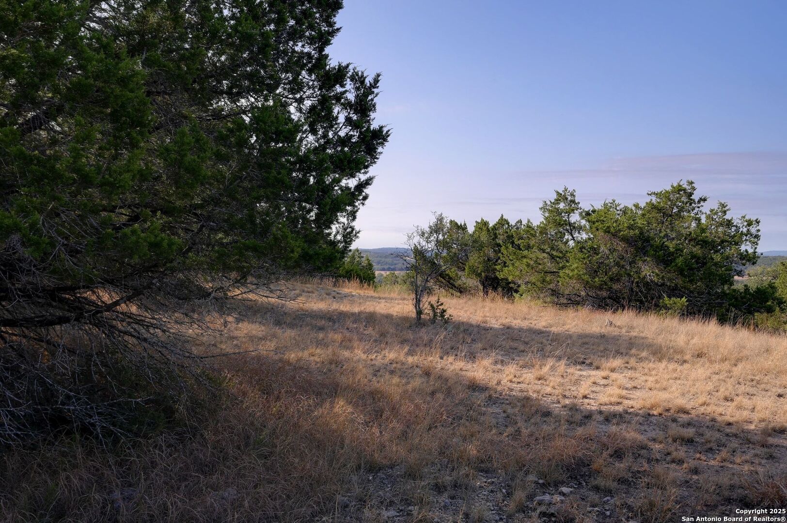 308 River Ridge Spring Branch, TX 78070 - Photo 18 of 39