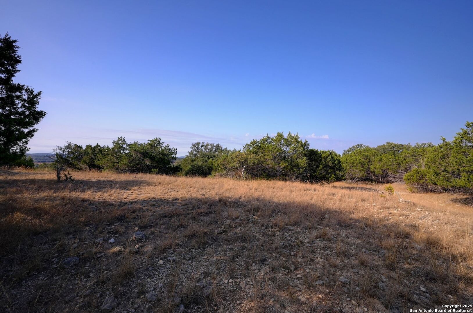 308 River Ridge Spring Branch, TX 78070 - Photo 20 of 39