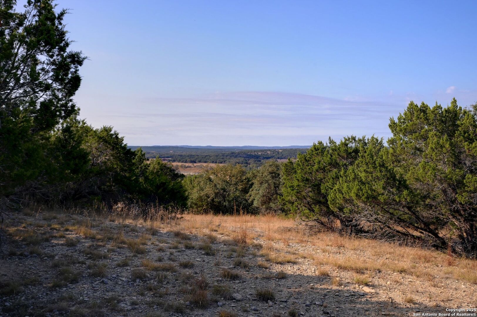 308 River Ridge Spring Branch, TX 78070 - Photo 23 of 39