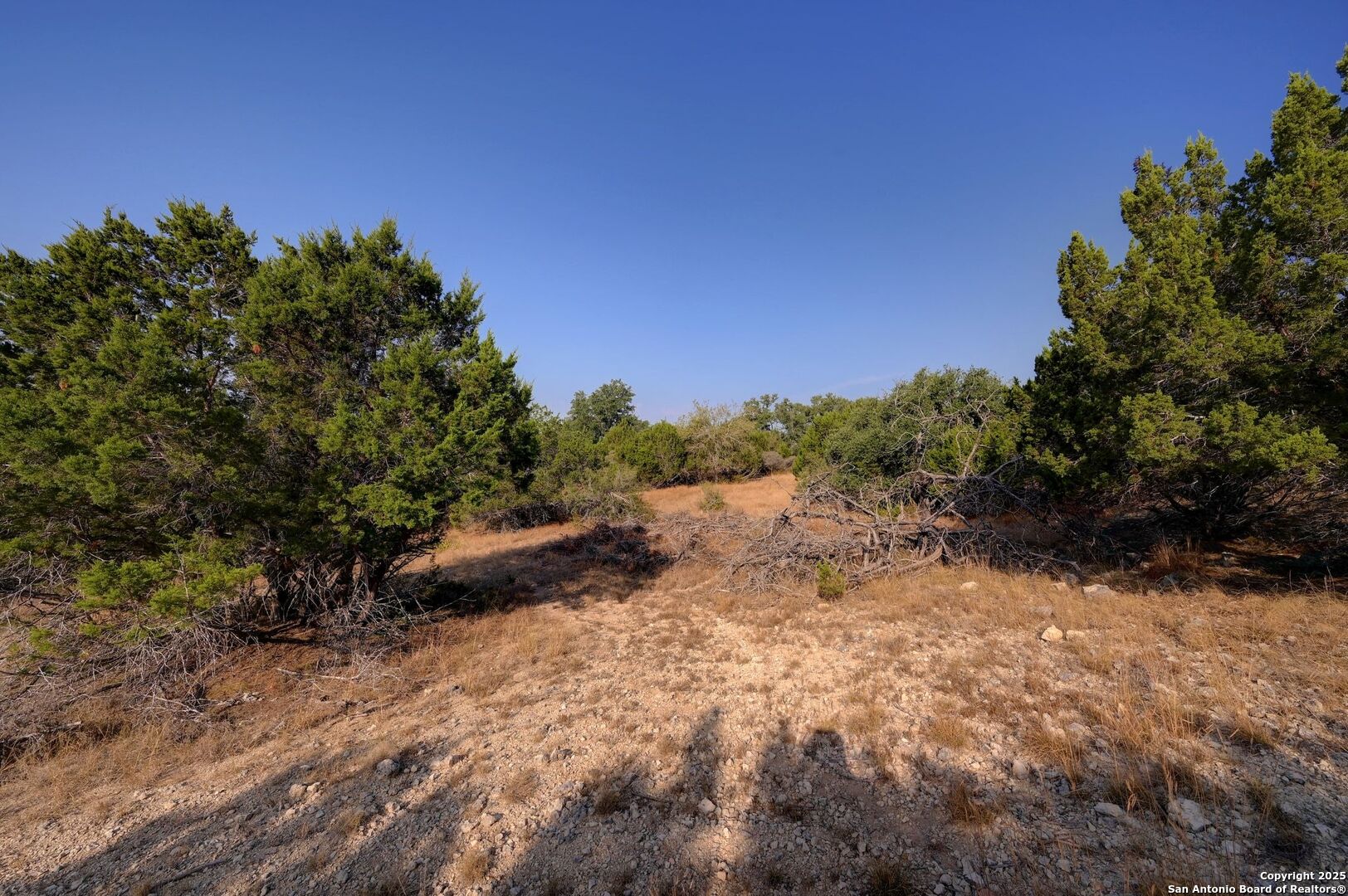 308 River Ridge Spring Branch, TX 78070 - Photo 24 of 39