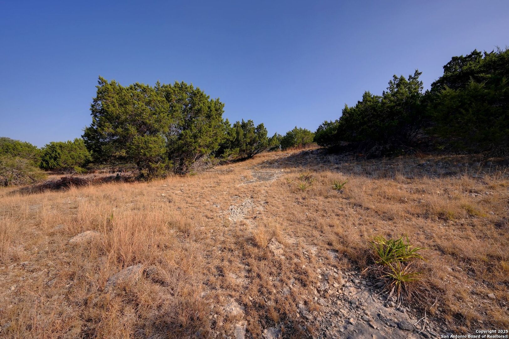 308 River Ridge Spring Branch, TX 78070 - Photo 26 of 39