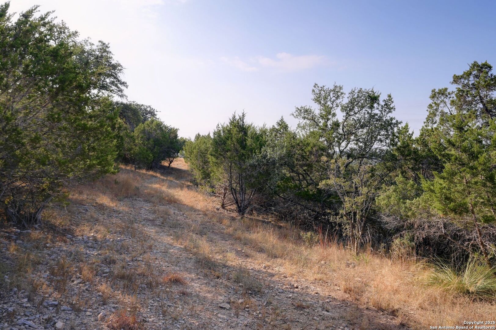 308 River Ridge Spring Branch, TX 78070 - Photo 28 of 39