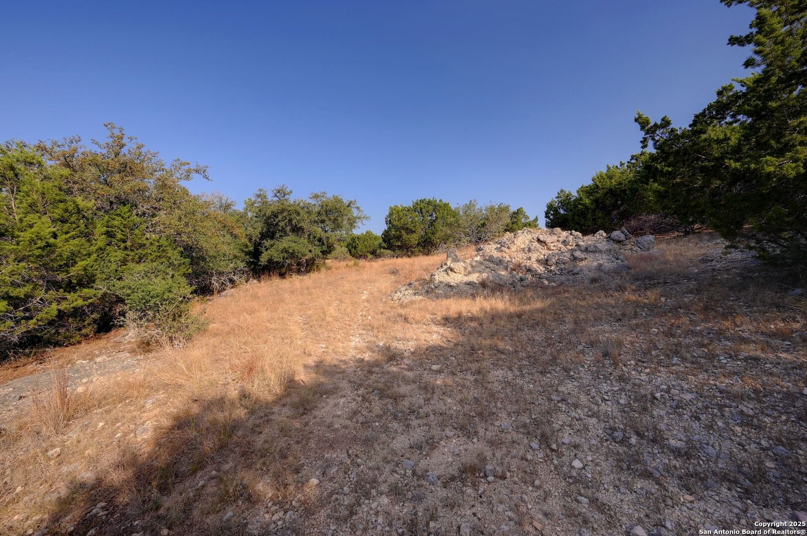 308 River Ridge Spring Branch, TX 78070 - Photo 29 of 39