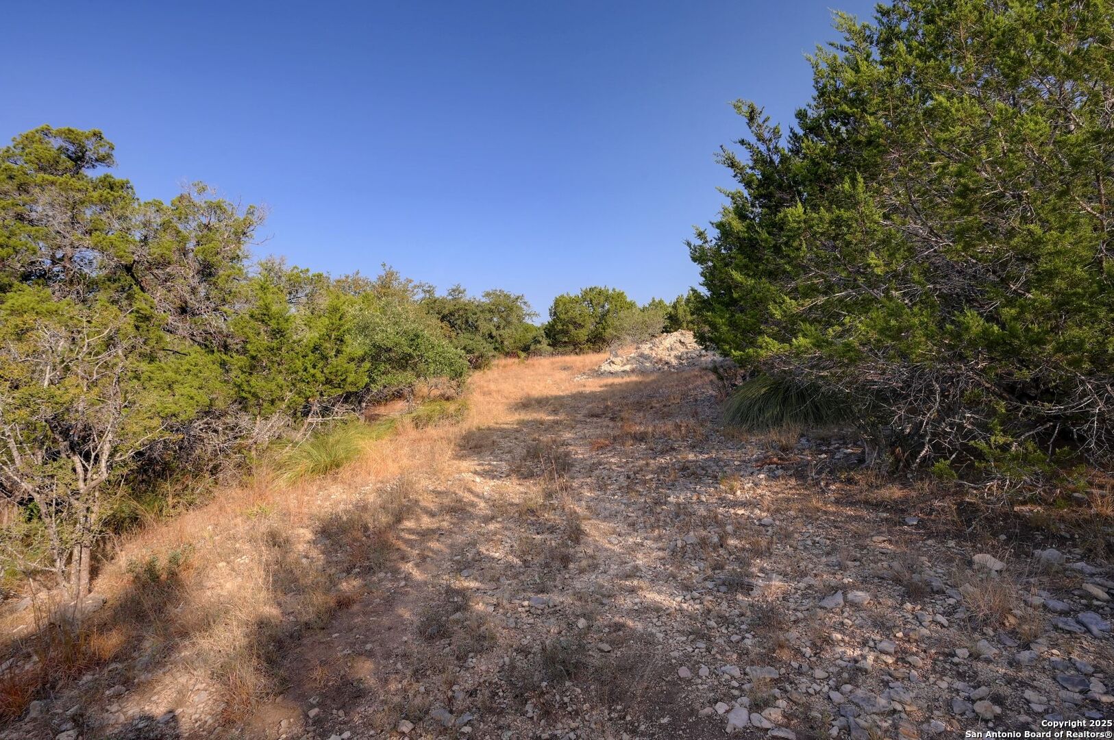 308 River Ridge Spring Branch, TX 78070 - Photo 30 of 39