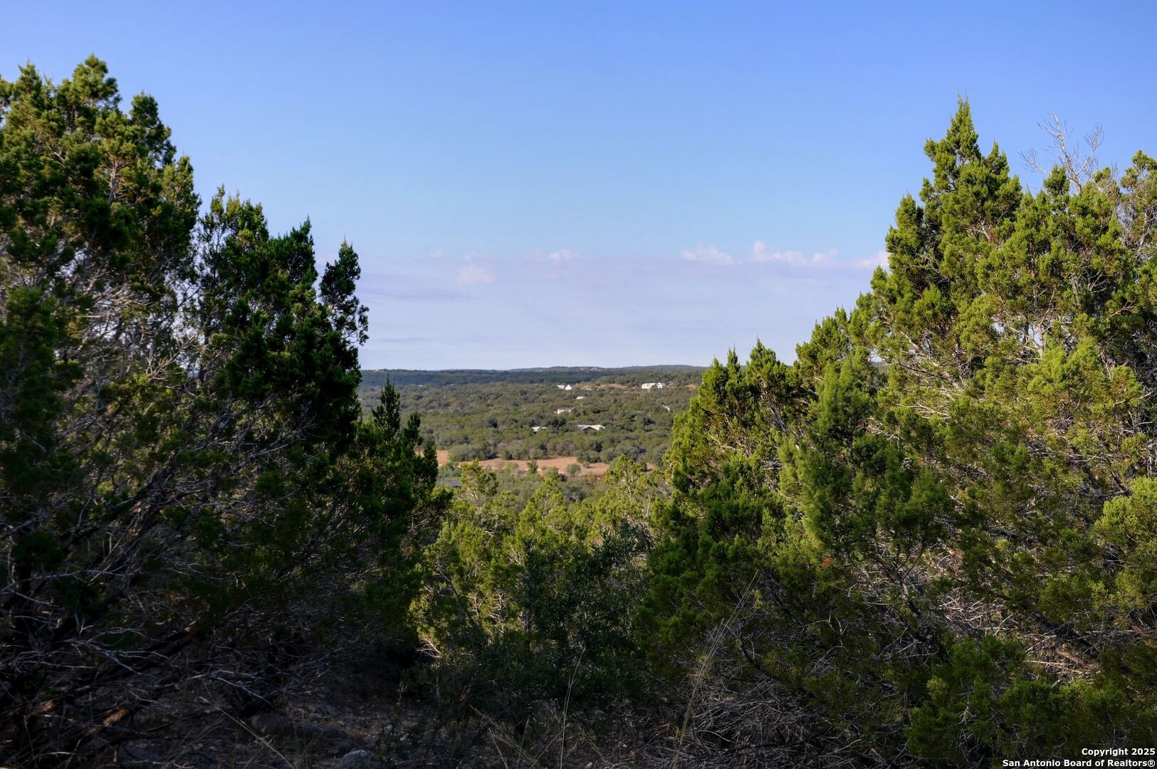 308 River Ridge Spring Branch, TX 78070 - Photo 31 of 39