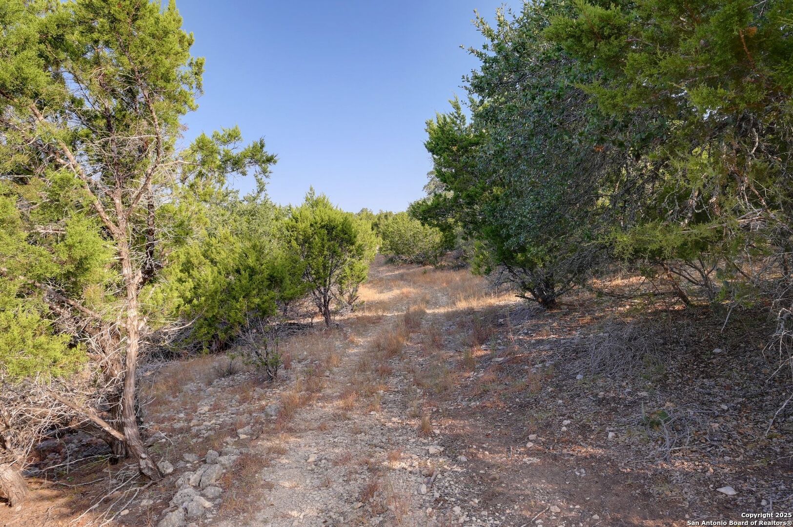 308 River Ridge Spring Branch, TX 78070 - Photo 32 of 39