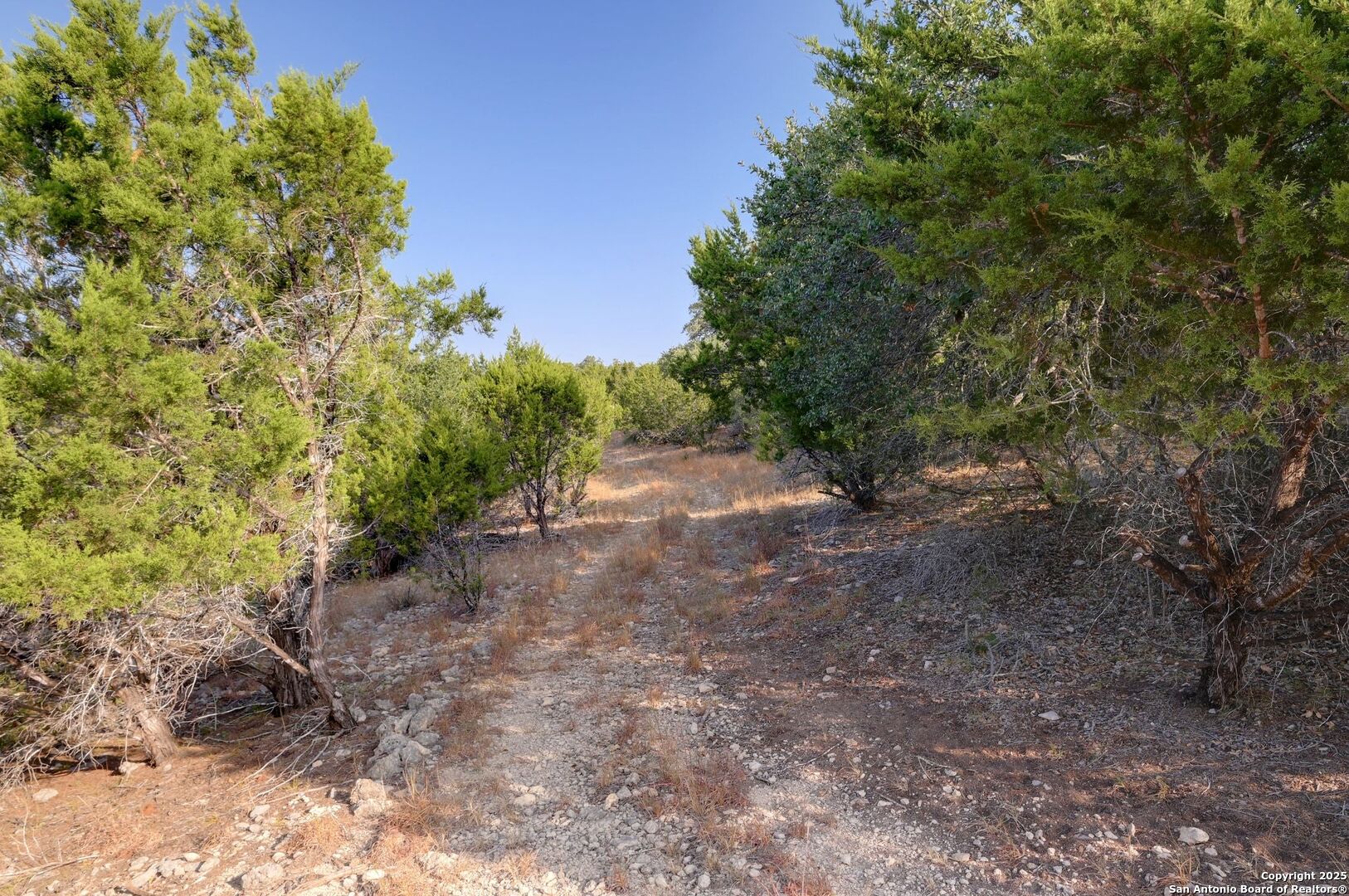 308 River Ridge Spring Branch, TX 78070 - Photo 33 of 39