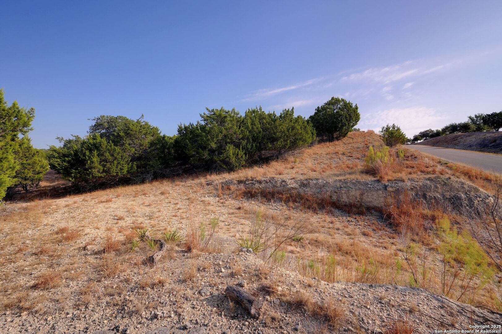 308 River Ridge Spring Branch, TX 78070 - Photo 34 of 39